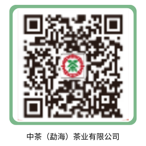 中茶（勐海）茶业有限公司.png