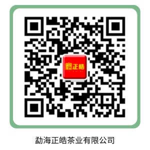 勐海正皓茶业有限公司.png