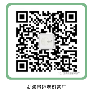 勐海景迈老树茶厂.png