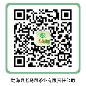 勐海县老马帮茶业有限责.png