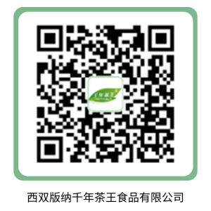 西双版纳千年茶王食品有限公司.png