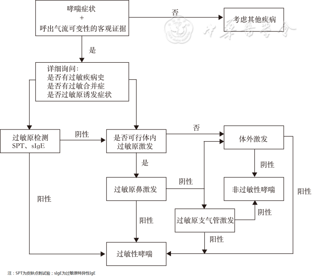 abp在医学是什么意思【标准与讨论】中国过敏性哮喘诊治指南（第二版，2025年）_https://www.jmylbn.com_新闻资讯_第4张