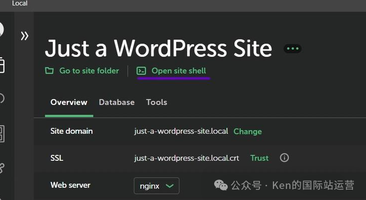 WordPress安装教程：新手一键搭建个人网站的4种方法