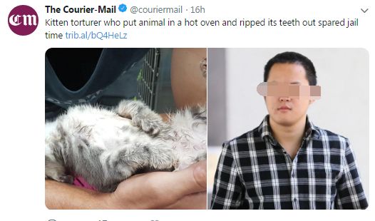 残忍虐杀野生动物，澳中国留学生被定罪！无知漠视生命，他早不是第一个（组图） - 14