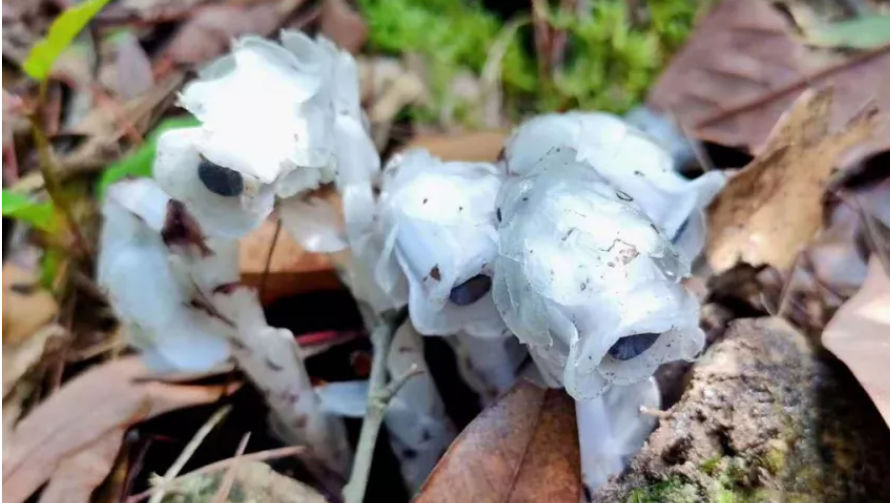 杭州寶媽在兒童繪本上發現了奇怪的內容，網友看完直呼細思極恐 親子 第26張