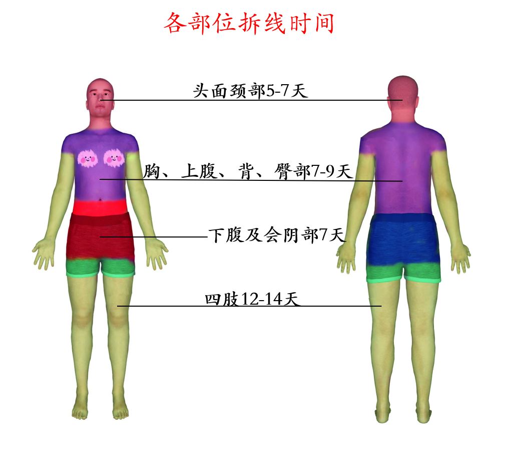 缝合怎么换药说说伤口缝合、换药的那些事！！！_https://www.jmylbn.com_新闻资讯_第6张