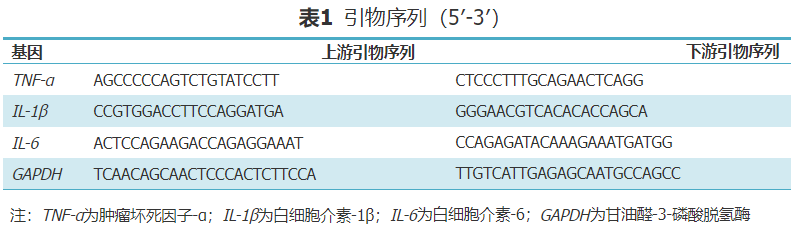 怎么使实验小鼠升血压【论著】棕色脂肪源性神经调节蛋白4对糖尿病肾病小鼠炎症保护作用的研究_https://www.jmylbn.com_新闻资讯_第2张