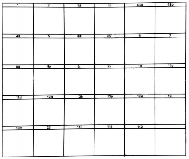 大体标本是什么【指南与共识】胃癌根治术标本的规范化外科处理中国专家共识（2022版）_https://www.jmylbn.com_新闻资讯_第23张
