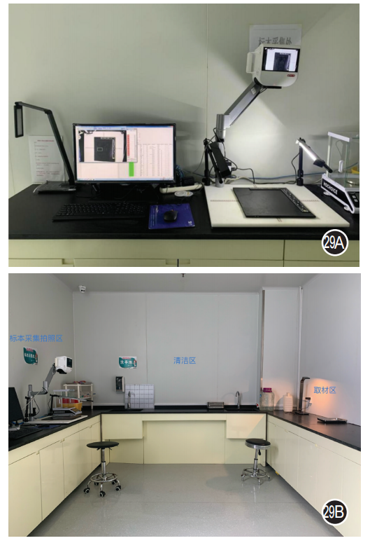 大体标本是什么【指南与共识】胃癌根治术标本的规范化外科处理中国专家共识（2022版）_https://www.jmylbn.com_新闻资讯_第29张