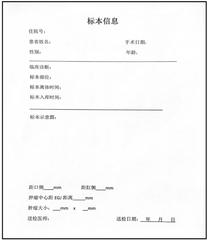 大体标本是什么【指南与共识】胃癌根治术标本的规范化外科处理中国专家共识（2022版）_https://www.jmylbn.com_新闻资讯_第28张
