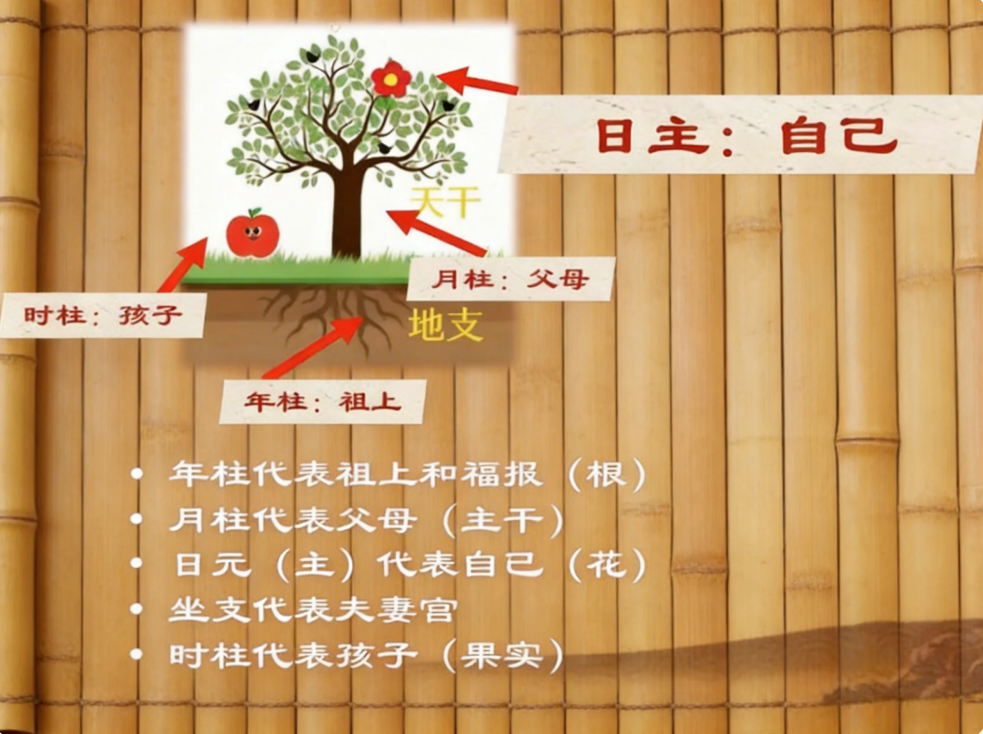 年柱 月柱 日主 时柱