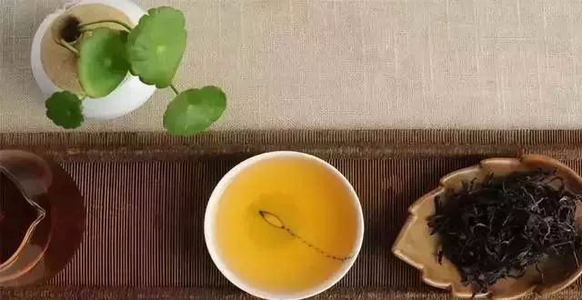 此时春天，为什么要多喝茶？