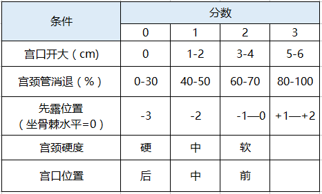 为什么要扩张宫颈宫颈成熟度检查的方法和要点，你掌握了吗？_https://www.jmylbn.com_新闻资讯_第1张