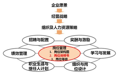 职能岗位是做什么的_职能岗位是什么意思_职能岗位是指