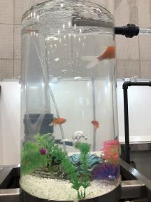 膜处理技术与水资源循环—浙江津膜携膜材料及产品亮相纺织新材料展