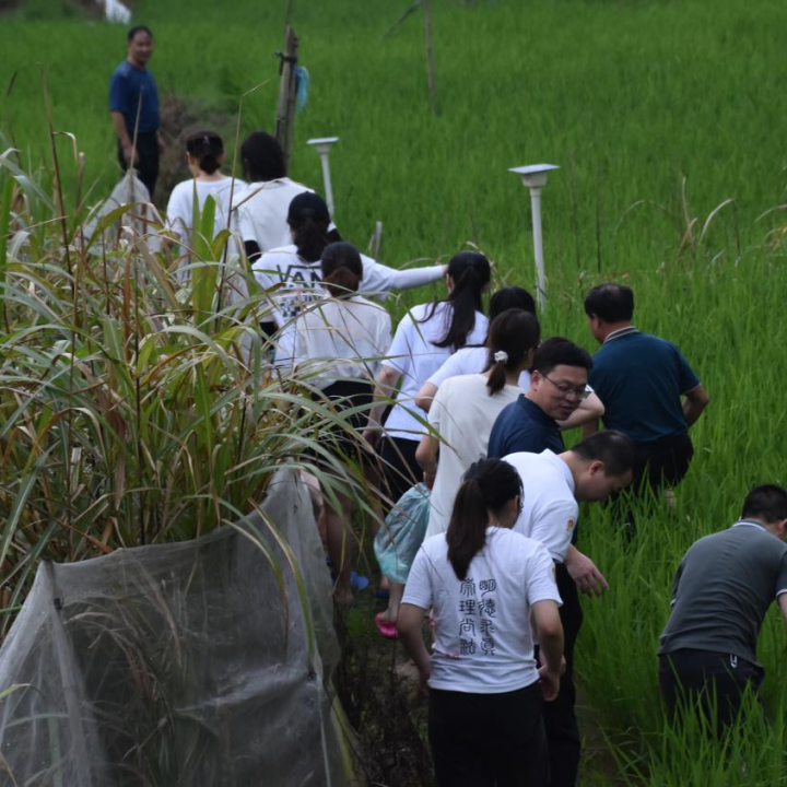 大学生“蒲公英”普法志愿者“送法下乡” 为乡村振兴注入法治力量