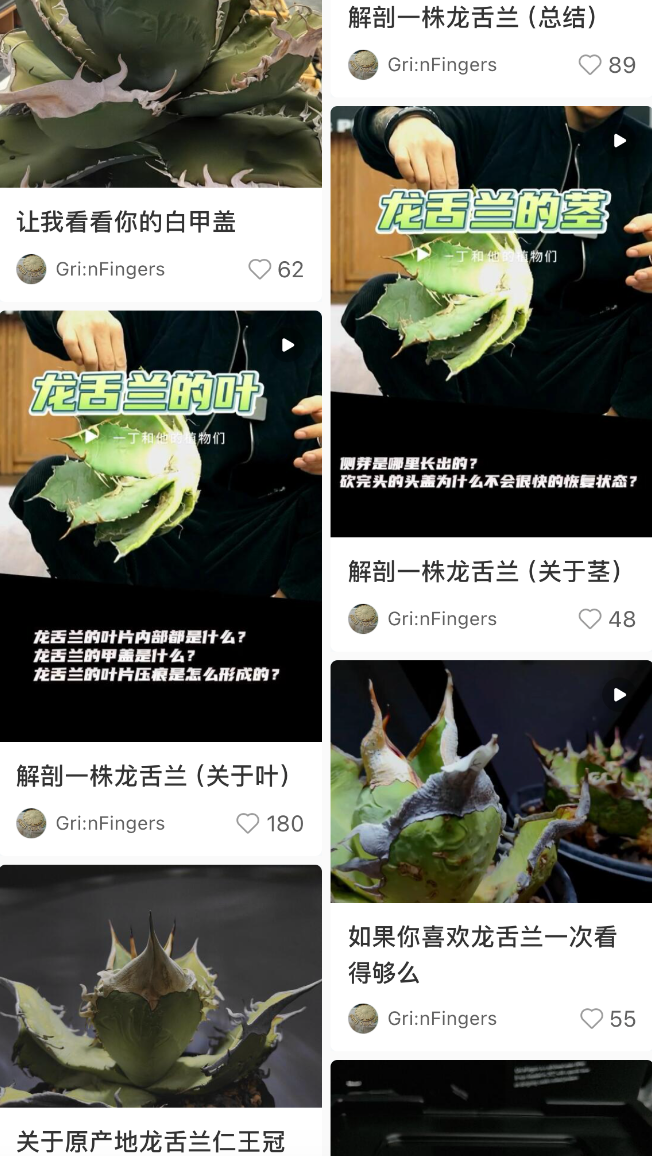 小红书商业案例