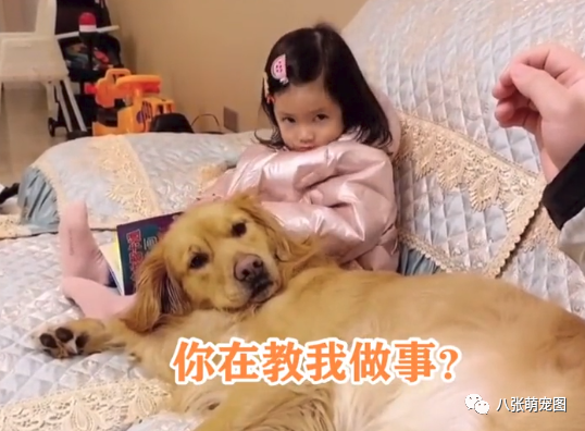 爸爸不让狗狗躺孩子身上 ,结果被两小家伙怒瞪30秒:你再动一下试试!-微信头条网 爸爸不让狗狗躺孩子身上 ,结果被两小家伙怒瞪30秒:你再动一下试试!