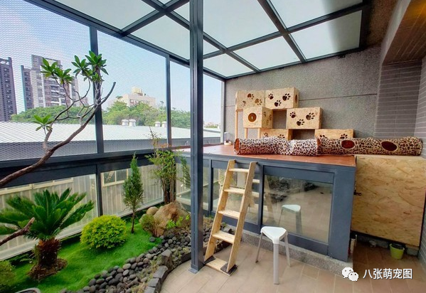 在家無聊給貓造了座園林式豪宅，完成後，網友：想去你家當貓！ 寵物 第3張