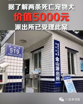 狗狗乖乖躺路邊睡覺，路過司機竟然故意倒車回去碾壓，一遍又一遍... 寵物 第11張