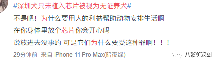 又一城市官宣：狗狗未植入晶片將被視為無證養犬，但這一次網友卻為此吵翻了... 寵物 第14張