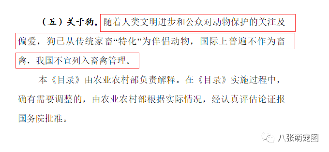 「禁野令」被無視！疫情之下玉林竟然還在舉辦狗肉節！ 寵物 第11張