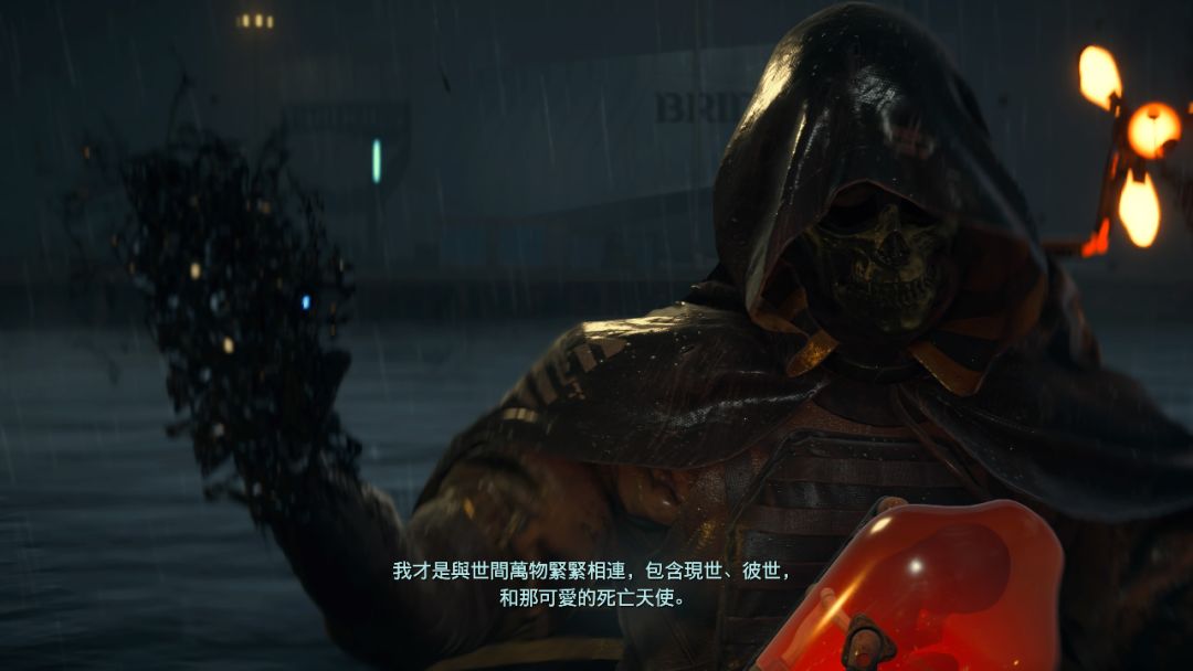 搁浅死亡是什么意思_搁浅死亡的鲸鱼可以放回海里吗_死亡搁浅吧