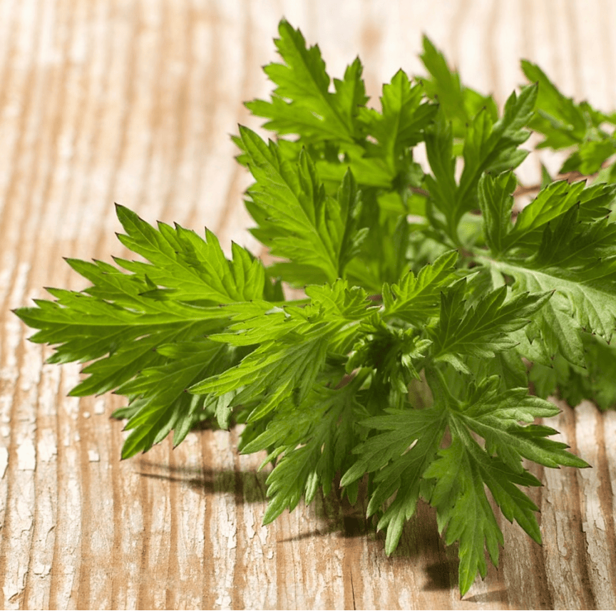 雷火灸都有什么成分【中医科特色疗法】艾灸和雷火灸——药之不及，针之不到，必须灸之_https://www.jmylbn.com_新闻资讯_第3张