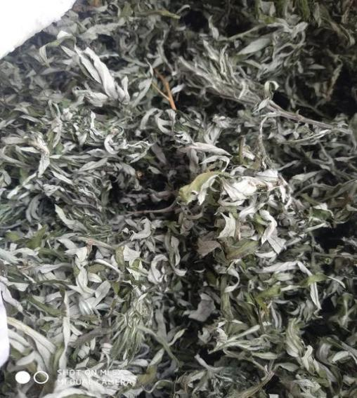 雷火灸都有什么成分【中医科特色疗法】艾灸和雷火灸——药之不及，针之不到，必须灸之_https://www.jmylbn.com_新闻资讯_第4张