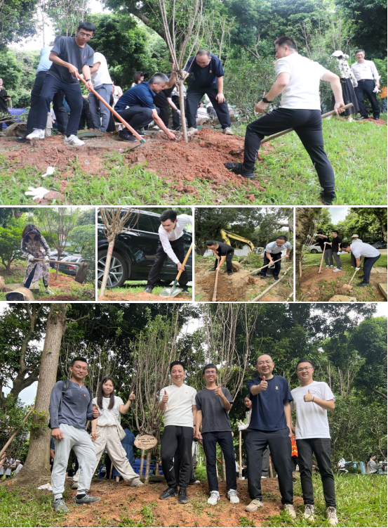 【党建动态】“植”此青绿·“树”说青春——金融行业协会党组织绿色共建暨纪念五四运动105周年主题党日活动顺利开展