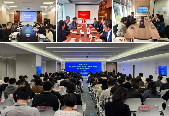 【协会动态】深圳市融资租赁行业协会2025年第一季度工作简报