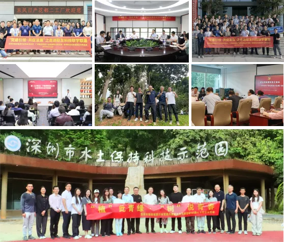 【协会动态】深圳市融资租赁行业协会2024年第二季度工作简报