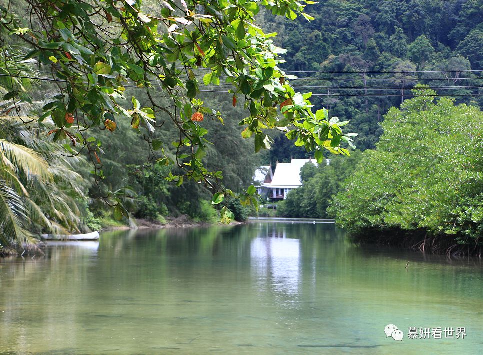 跟随【中餐厅】，泰国象岛八天自由行