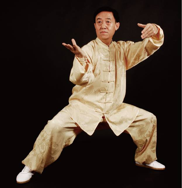 陈正雷宗师对初学者的建议_太极理论_太极文化_郑州陈正雷太极拳馆