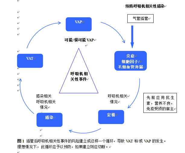 呼吸机ac是什么意思呼吸机相关性感染的预防_https://www.jmylbn.com_新闻资讯_第5张