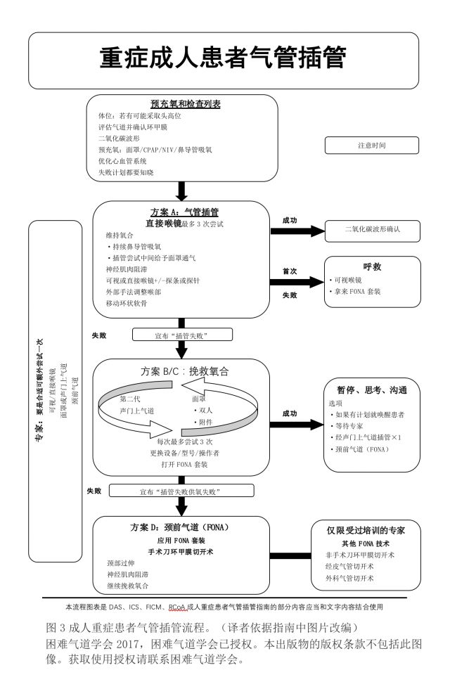 成人喉镜型号怎么选择成人重症患者气管插管管理指南（附中英版下载）_https://www.jmylbn.com_新闻资讯_第12张