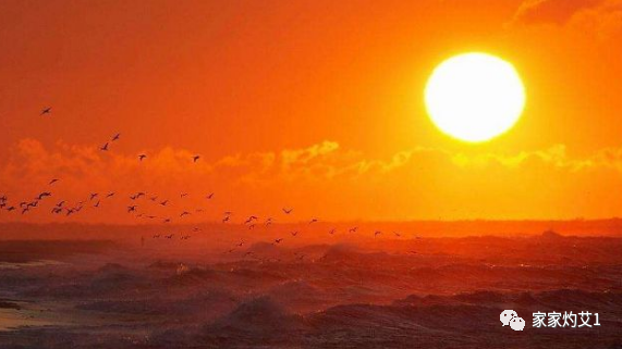 让中国女性怕冷的，无非这些“阳气”被偷走了，趁三伏，灸这些穴位补回来！