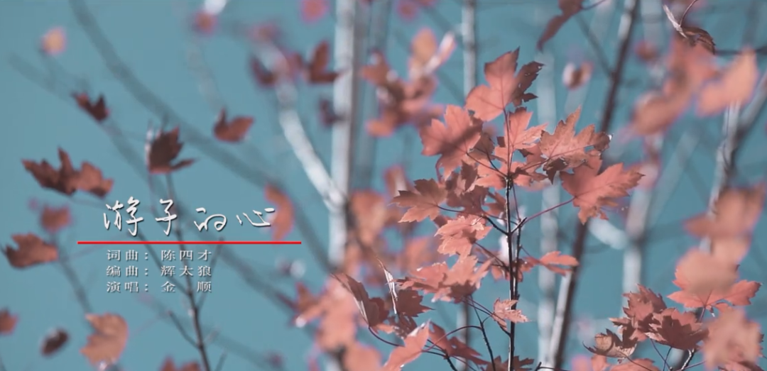游子的心 MV 封面