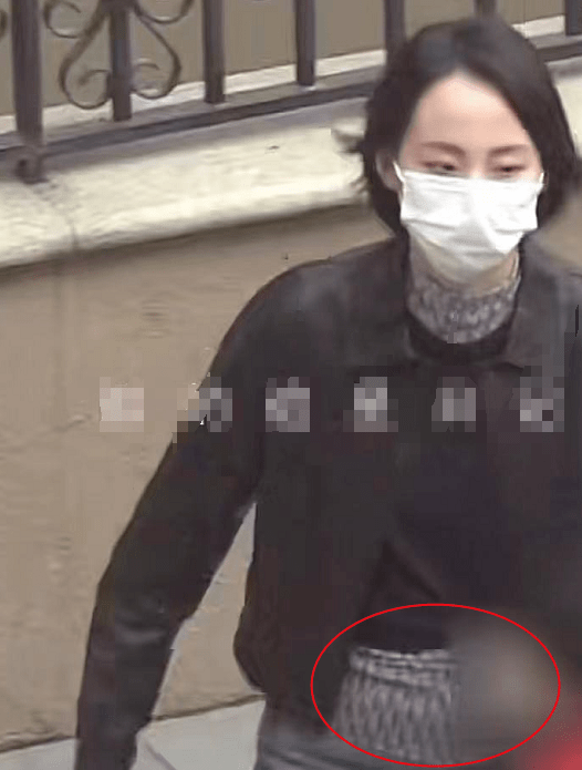 张嘉倪出门带俩保姆仨保镖疑怀三胎？豪门婆婆曾反对婚事，结婚7年产2娃仍未圆婚礼梦（组图） - 7