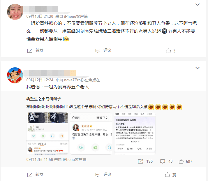 刘诗诗粉丝撕番剧组，后援集体罢工！被传与吴奇隆婚变，她生娃后事业起不来了？（组图） - 23