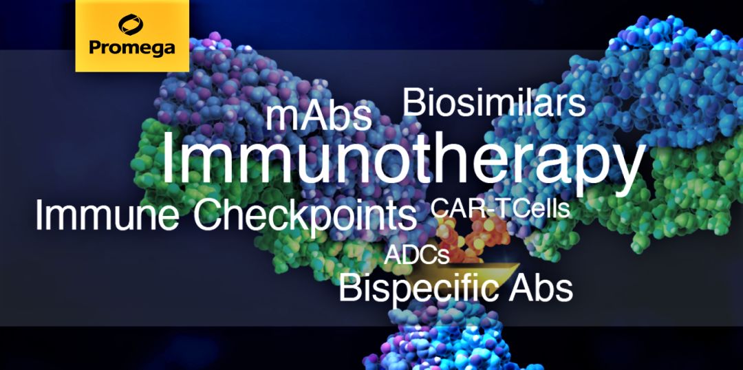 Promega Functional Bioassay性能全解析