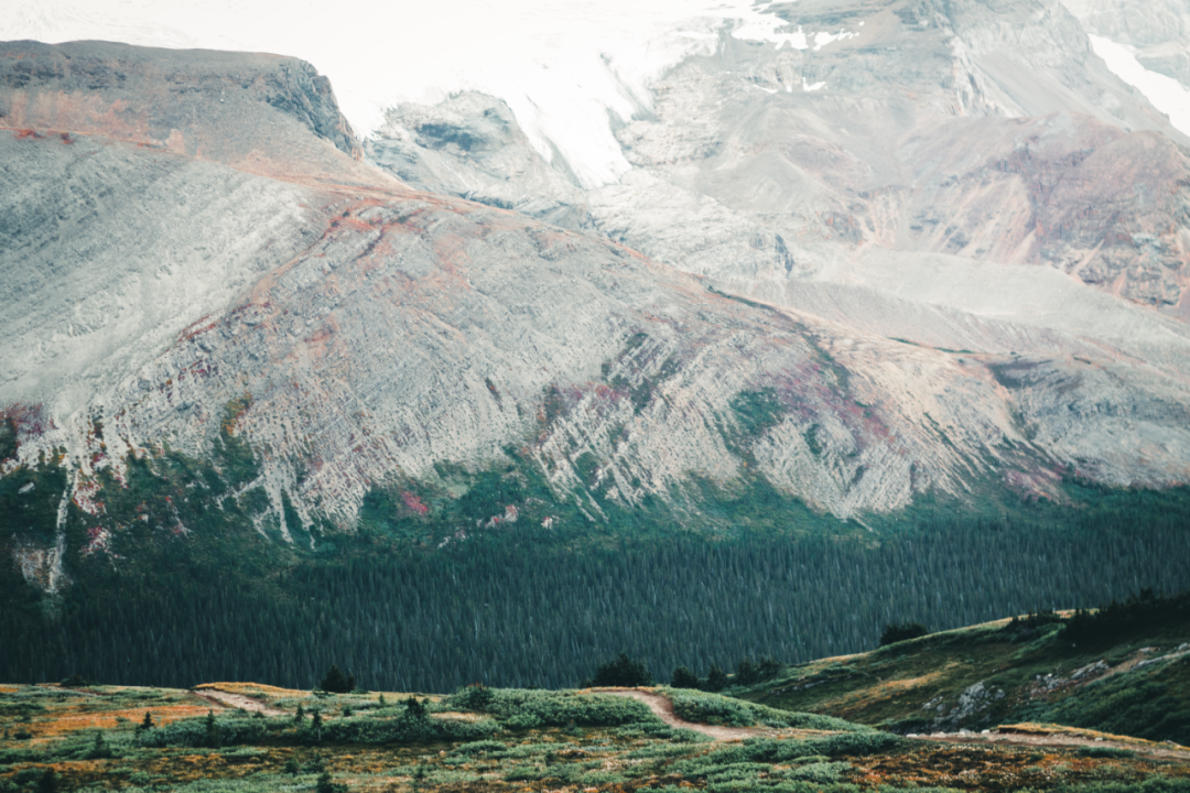 Ϊʲô�ɹ��ļ��ô��˶���ᵽ����ȥ��