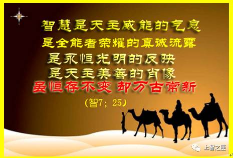 上海达陡 圣神七恩 自由微信 Freewechat