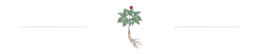 怎样给孩子调理脾胃