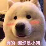 相親網站比較  「老公婚前VS婚後對比照，朋友圈的女生都炸鍋了！」 情感 第3張