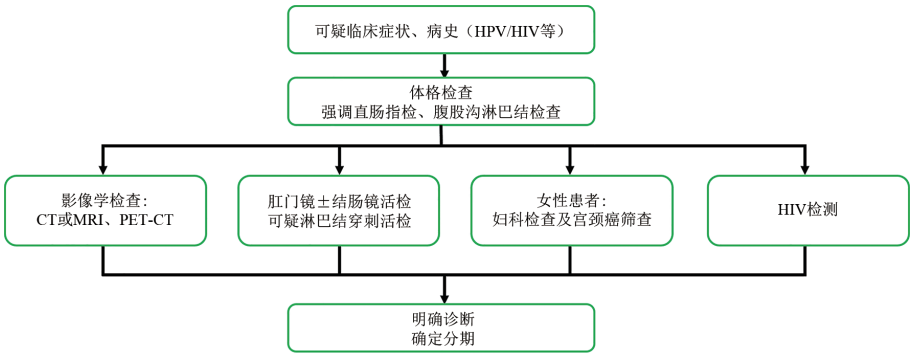 直肠ac是什么意思