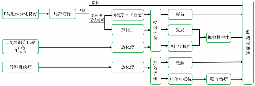 直肠ac是什么意思