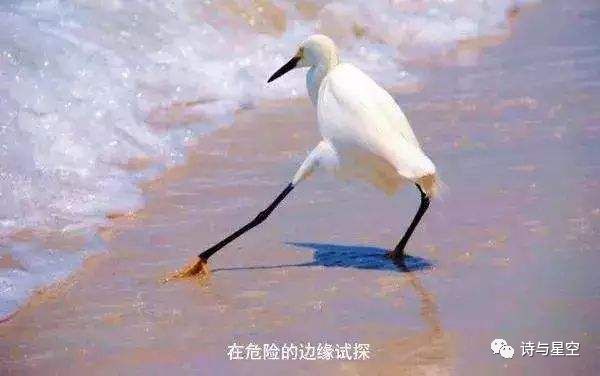 



退市避雷针：年报来临之前，那些可能退市的地雷们
