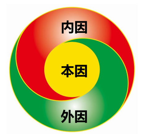 三因包括:本因,内因,外因,可以用旋极图示意三者的关系.