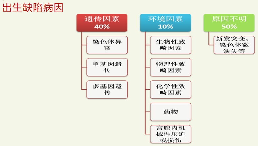 二级胚胎没有一级聪明_胚胎等级和智力有关吗_胚胎等级越高孩子越聪明